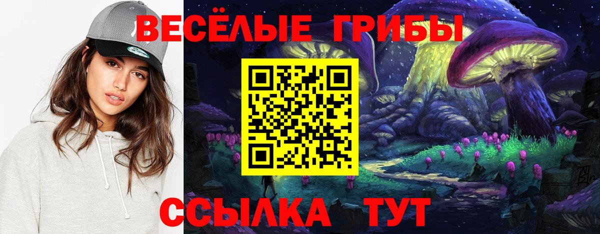 Галлюциногенные грибы Cubensis  Псилоцибиновые грибы мухоморы  Вышний Волочёк  закладки  Вход с VPN 
